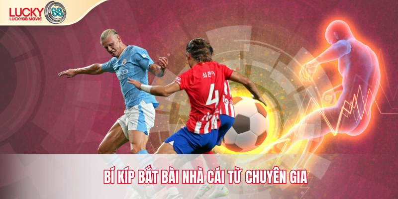 Bí kíp bắt bài nhà cái từ chuyên gia