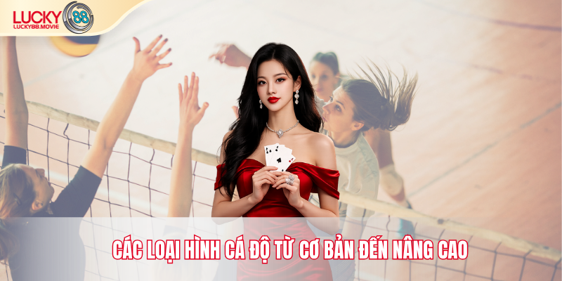 Các loại hình cá độ từ cơ bản đến nâng cao