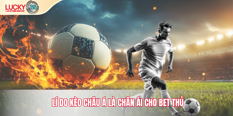 Lí do kèo châu á là chân ái cho bet thủ