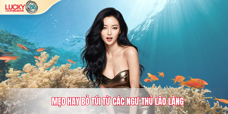 Mẹo hay bỏ túi từ các ngư thủ lão làng